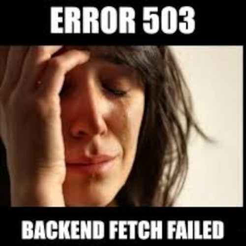503 Backend Fetch Failed